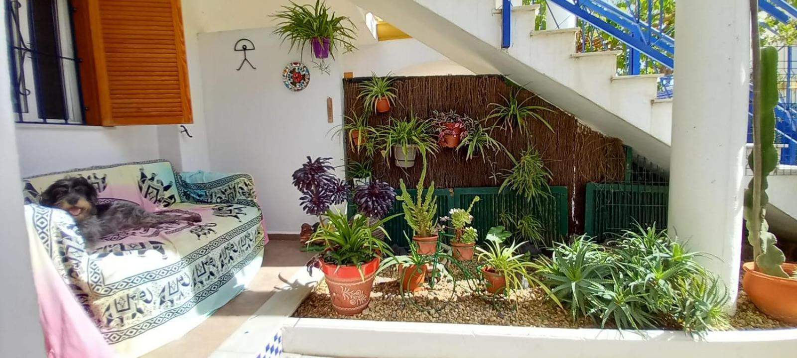 Casa Chiki Apartment Vera Exterior photo